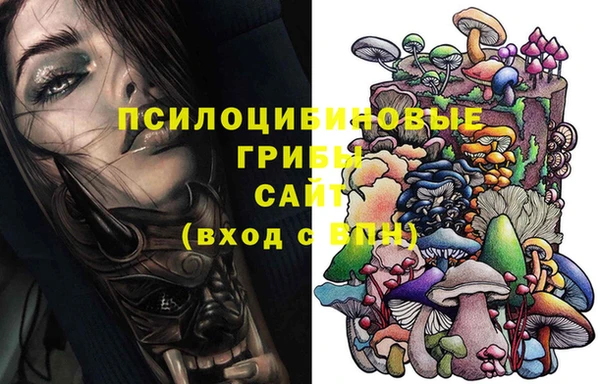 MESCALINE Няндома