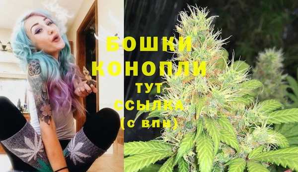 первитин Нягань